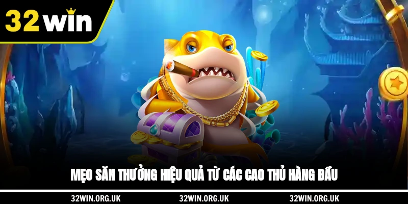 Mẹo săn thưởng hiệu quả từ các cao thủ hàng đầu